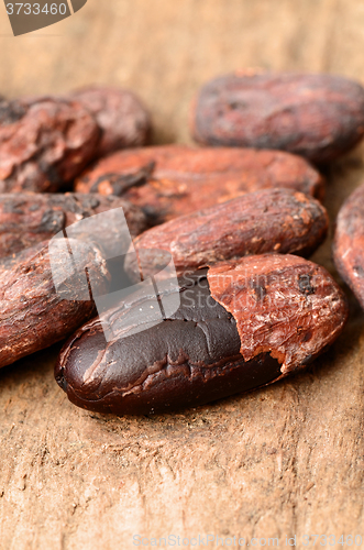 Image of Raw Cocoa beans