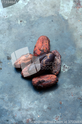 Image of Raw Cocoa beans