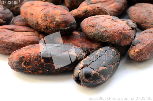 Image of Raw cocoa beans