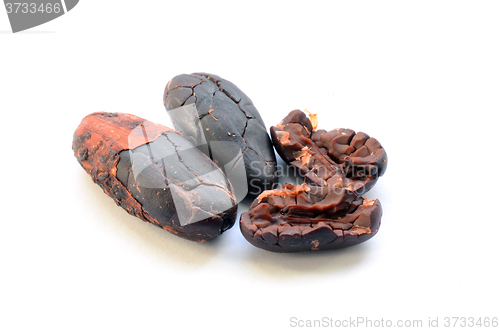 Image of Raw cocoa beans
