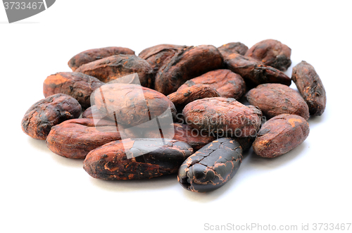 Image of Raw cocoa beans