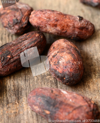 Image of Raw Cocoa beans