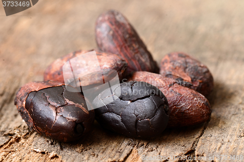 Image of Raw Cocoa beans