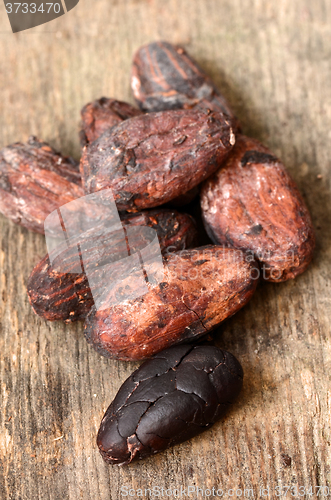 Image of Raw Cocoa beans