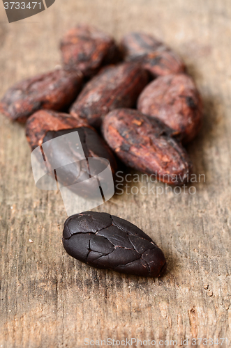 Image of Raw Cocoa beans
