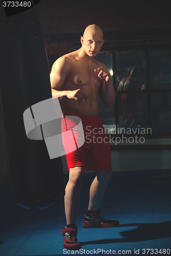 Image of fighter in red shorts