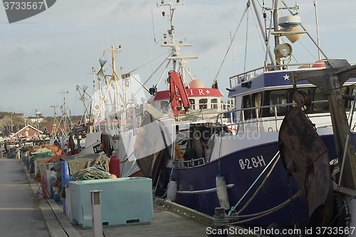 Image of Fishing boat in harbour