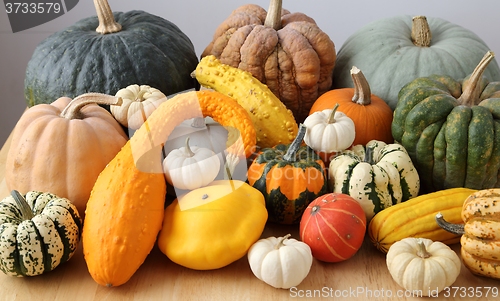 Image of Squash and pumpkins.