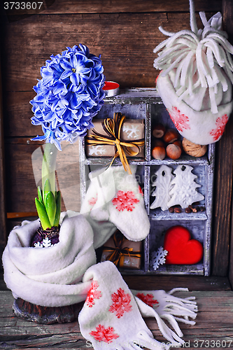 Image of Hyacinth wrapped in scarf