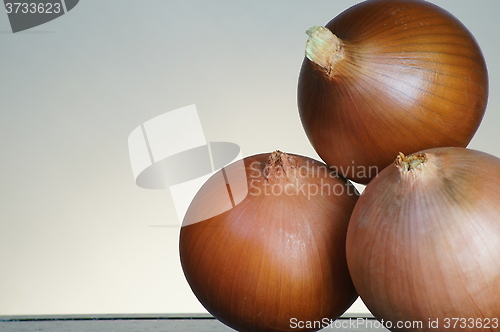 Image of onion