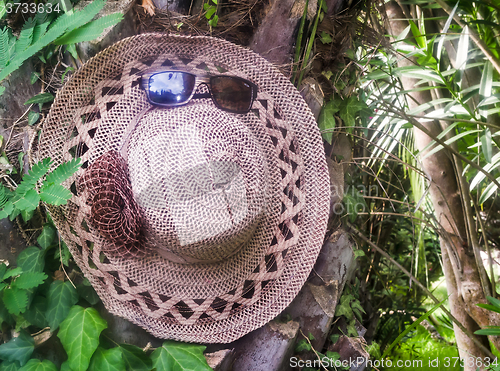 Image of Most women\'s hat and sunglasses on the background of trees.