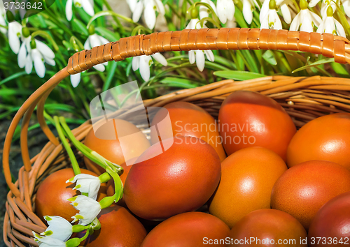 Image of Easter eggs in a wicker basket and snowdrops.