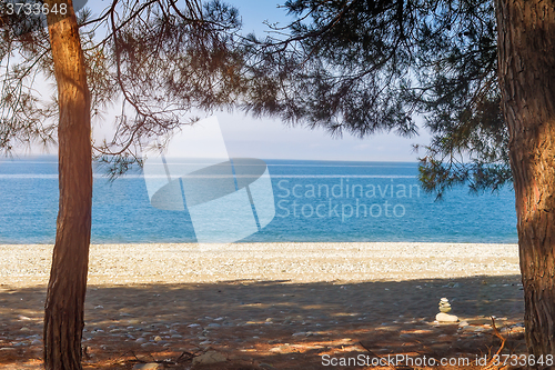 Image of Landscape with sea views. Pitsunda, Abkhazia.