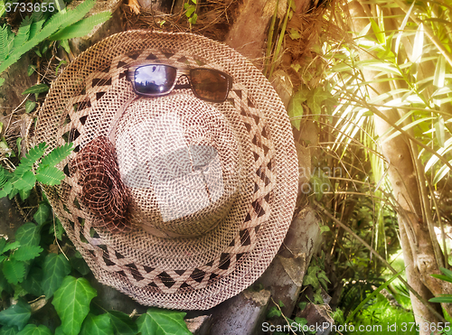 Image of Most women\'s hat and sunglasses on the background of trees.