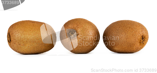 Image of Kiwifruit or Chinese gooseberry