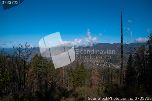 Image of Yosemite Valley View