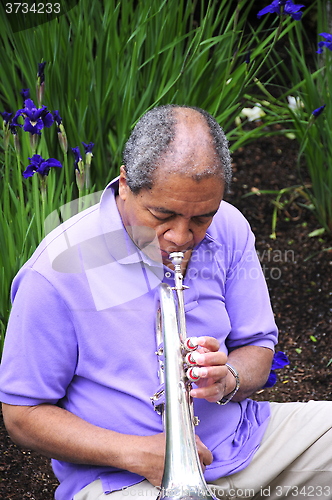 Image of Jazz musician.