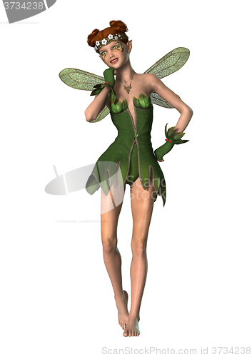 Image of Spring Fairy on White
