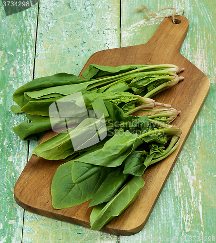 Image of Raw Spinach Leafs