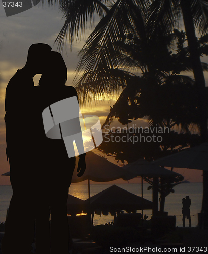 Image of Lovers on an a tropical beach