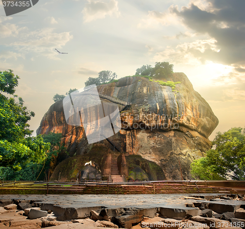 Image of Bird over Sigiriya