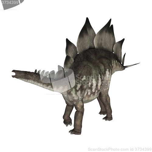 Image of Dinosaur Stegosaurus