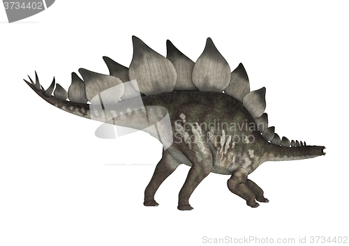 Image of Dinosaur Stegosaurus