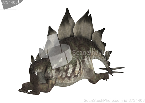 Image of Dinosaur Stegosaurus