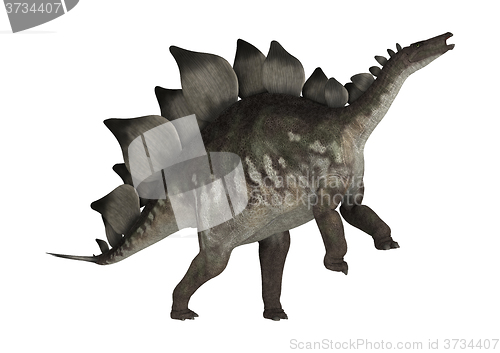 Image of Dinosaur Stegosaurus