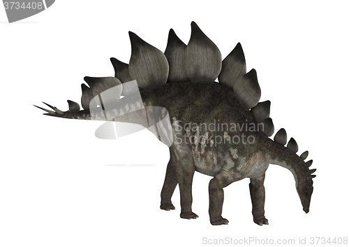 Image of Dinosaur Stegosaurus