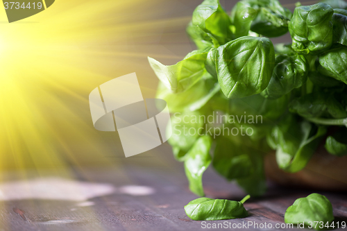 Image of Fresh organic basil