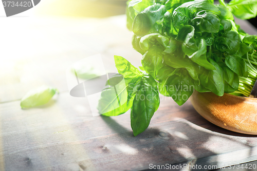 Image of Fresh organic basil