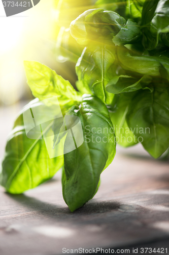 Image of Fresh organic basil