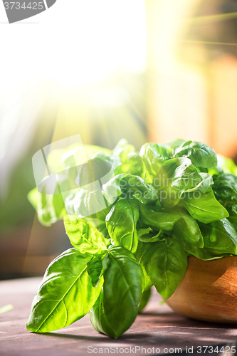 Image of Fresh organic basil