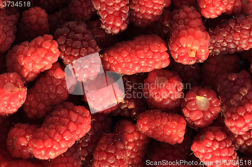 Image of fresh raspberries background\r\n