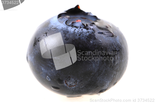 Image of fresh blueberry isolated\r\n