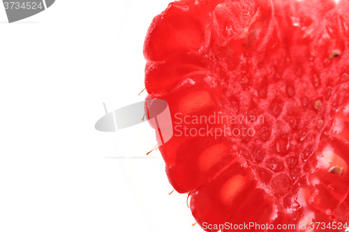Image of fresh raspberry isolated