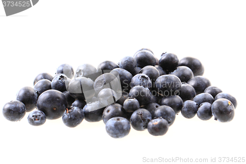 Image of blueberries isolated on the white background