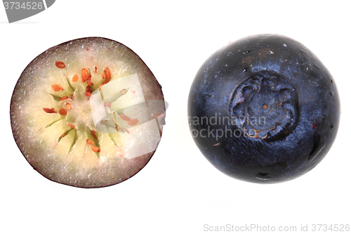 Image of fresh blueberry isolated\r\n