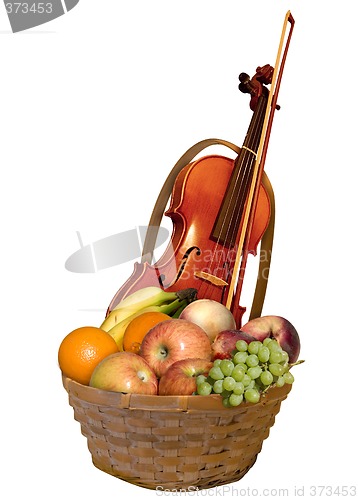 Image of Violin In a Fruit Basket