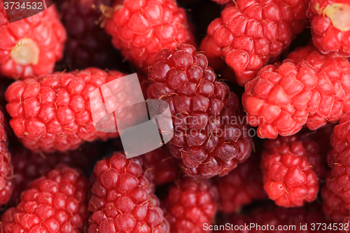 Image of fresh raspberries background\r\n
