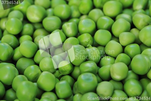 Image of green pea background