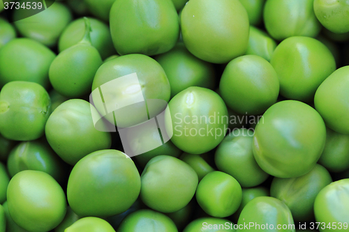 Image of green pea background