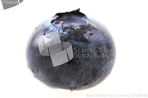 Image of fresh blueberry isolated\r\n
