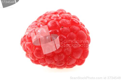 Image of fresh raspberry isolated