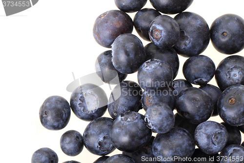 Image of blueberries isolated on the white background