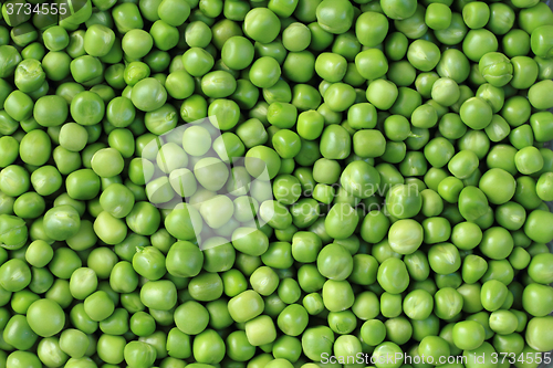 Image of green pea background
