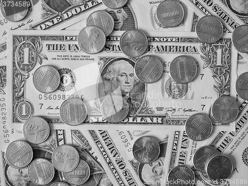 Image of Black and white Dollar coins and notes