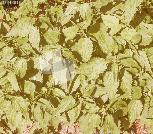 Image of Retro looking 