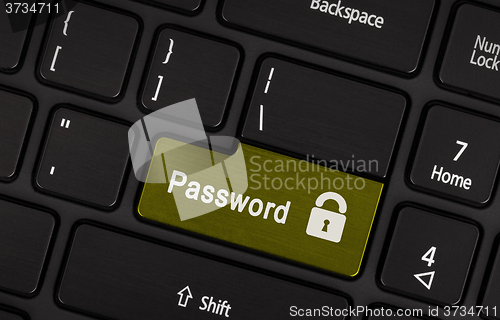 Image of Text password button